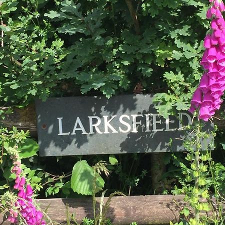 Larksfield Loft Apartment Okehampton Ngoại thất bức ảnh